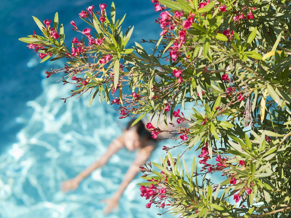 קאן סור מר Le Val Duchesse Hotel & Appartements מראה חיצוני תמונה
